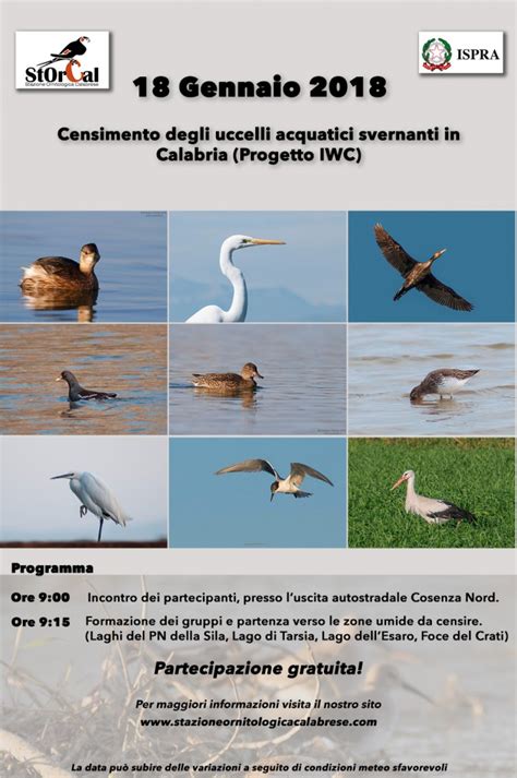 Le popolazioni di uccelli acquatici svernanti in Lombardia, 2020